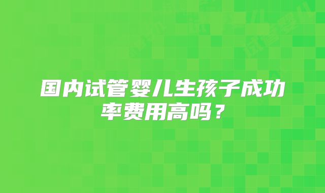 国内试管婴儿生孩子成功率费用高吗？