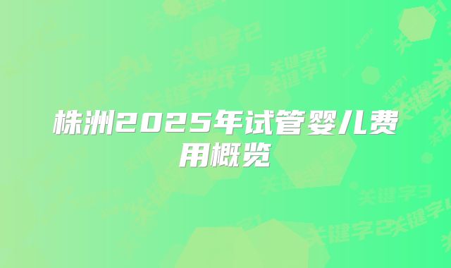 株洲2025年试管婴儿费用概览