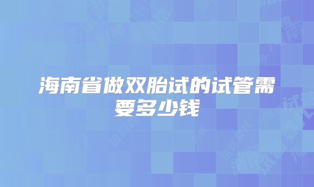 海南省做双胎试的试管需要多少钱