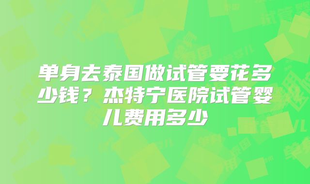 单身去泰国做试管要花多少钱？杰特宁医院试管婴儿费用多少