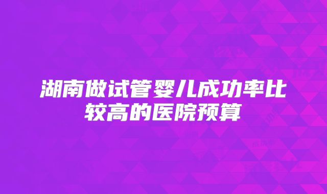 湖南做试管婴儿成功率比较高的医院预算