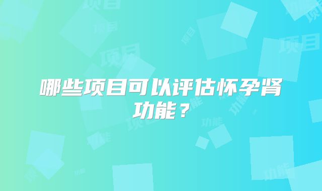 哪些项目可以评估怀孕肾功能？