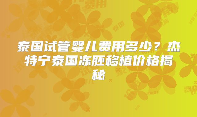 泰国试管婴儿费用多少?杰特宁泰国冻胚移植价格揭秘