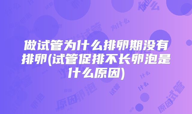 做试管为什么排卵期没有排卵(试管促排不长卵泡是什么原因)