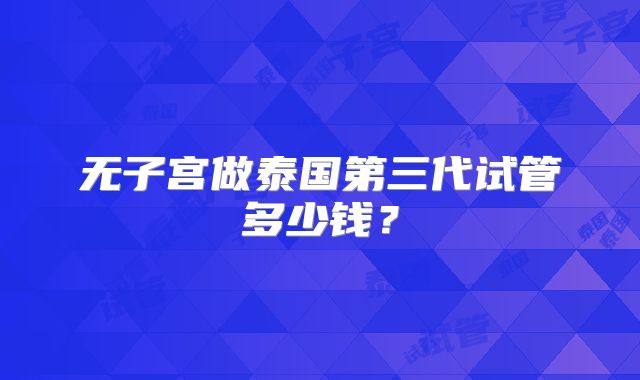 无子宫做泰国第三代试管多少钱？
