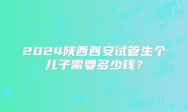 2024陕西西安试管生个儿子需要多少钱？
