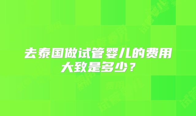 去泰国做试管婴儿的费用大致是多少?