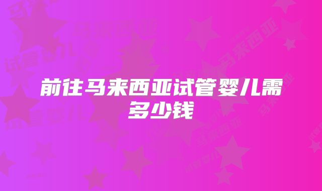 前往马来西亚试管婴儿需多少钱