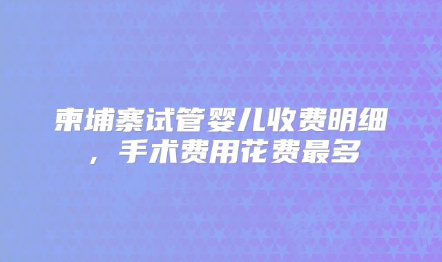 柬埔寨试管婴儿收费明细，手术费用花费最多