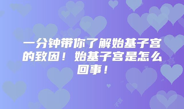 一分钟带你了解始基子宫的致因!始基子宫是怎么回事!