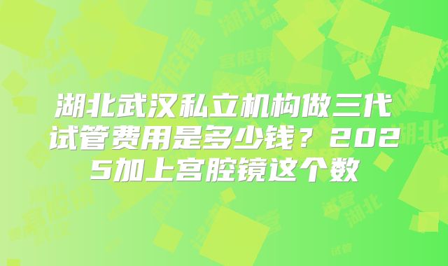 湖北武汉私立机构做三代试管费用是多少钱？2025加上宫腔镜这个数