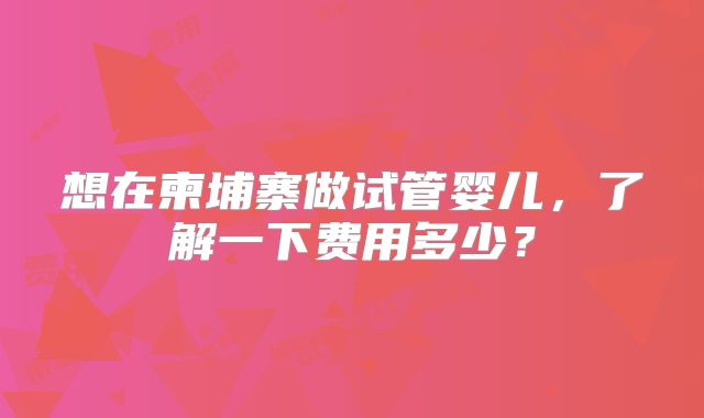 想在柬埔寨做试管婴儿,了解一下费用多少?