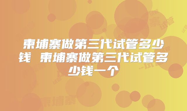 柬埔寨做第三代试管多少钱 柬埔寨做第三代试管多少钱一个