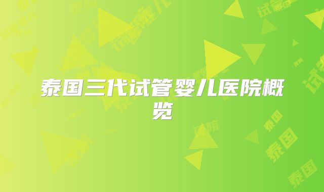 泰国三代试管婴儿医院概览
