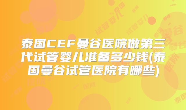 泰国CEF曼谷医院做第三代试管婴儿准备多少钱(泰国曼谷试管医院有哪些)