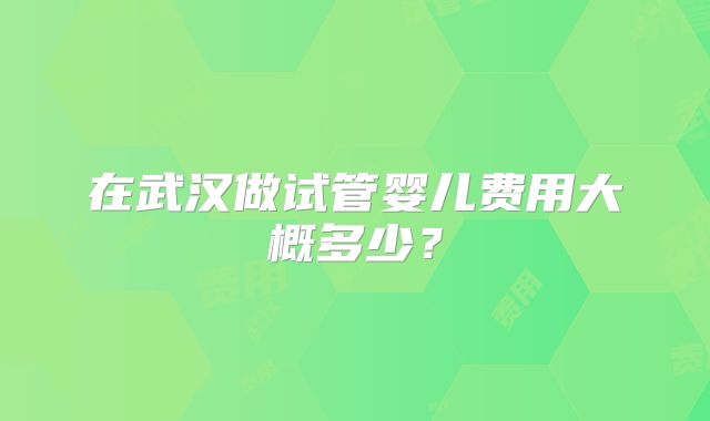 在武汉做试管婴儿费用大概多少？