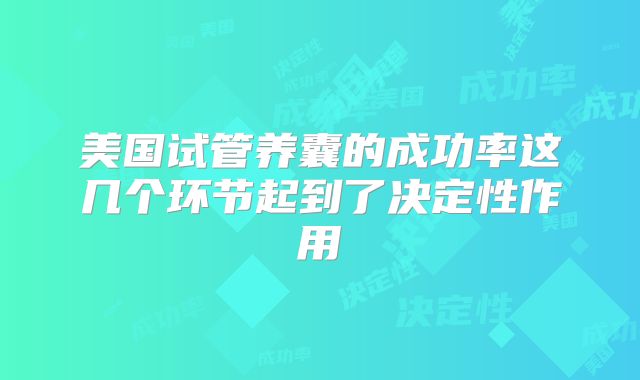 美国试管养囊的成功率这几个环节起到了决定性作用