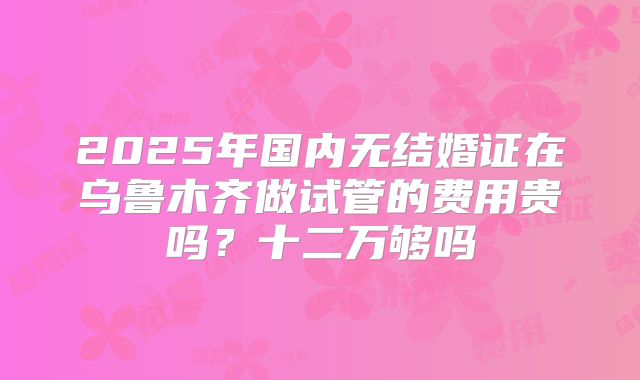 2025年国内无结婚证在乌鲁木齐做试管的费用贵吗?十二万够吗