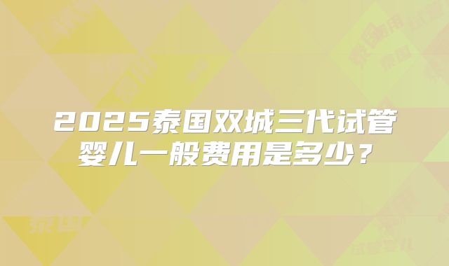 2025泰国双城三代试管婴儿一般费用是多少？