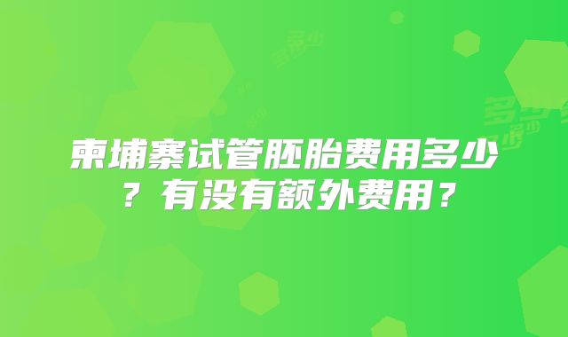柬埔寨试管胚胎费用多少?有没有额外费用?