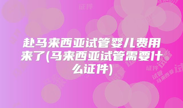 赴马来西亚试管婴儿费用来了(马来西亚试管需要什么证件)
