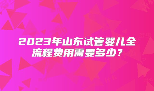 2023年山东试管婴儿全流程费用需要多少？