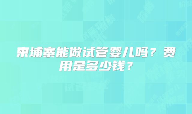 柬埔寨能做试管婴儿吗？费用是多少钱？