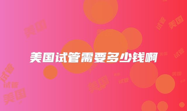 美国试管需要多少钱啊
