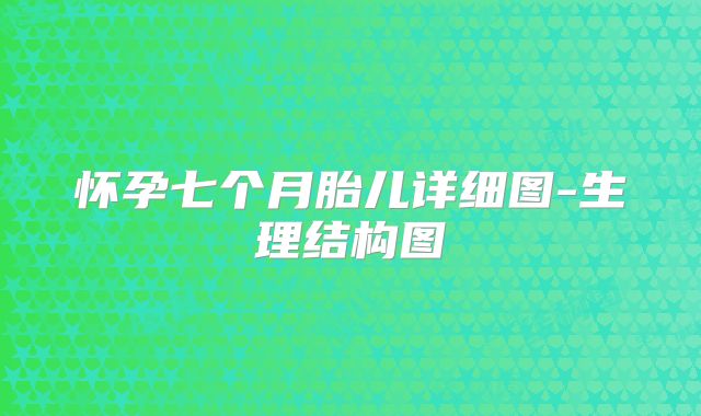 怀孕七个月胎儿详细图-生理结构图