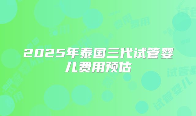 2025年泰国三代试管婴儿费用预估