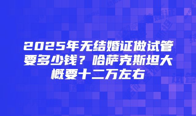 2025年无结婚证做试管要多少钱？哈萨克斯坦大概要十二万左右