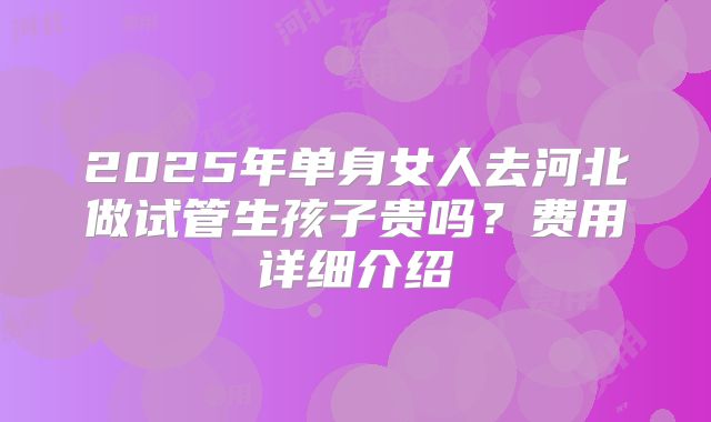2025年单身女人去河北做试管生孩子贵吗?费用详细介绍