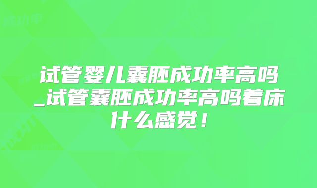 试管婴儿囊胚成功率高吗_试管囊胚成功率高吗着床什么感觉!