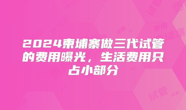 2024柬埔寨做三代试管的费用曝光,生活费用只占小部分
