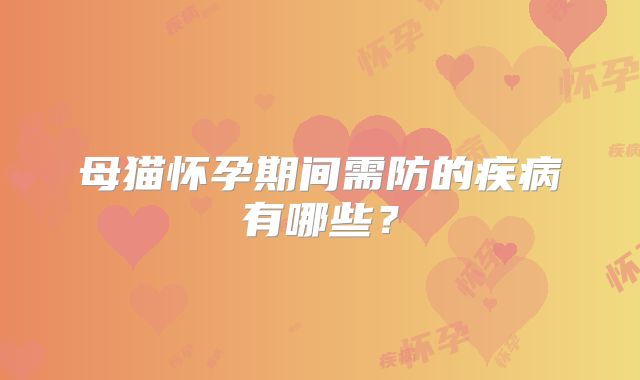 母猫怀孕期间需防的疾病有哪些?