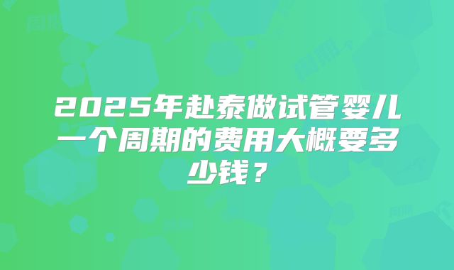 2025年赴泰做试管婴儿一个周期的费用大概要多少钱？