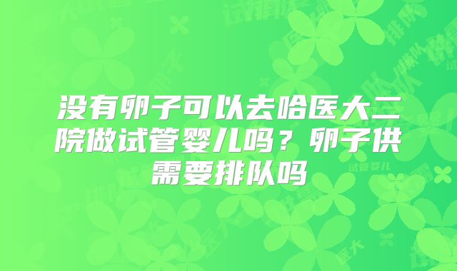 没有卵子可以去哈医大二院做试管婴儿吗？卵子供需要排队吗