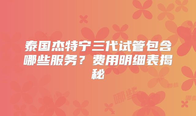 泰国杰特宁三代试管包含哪些服务？费用明细表揭秘