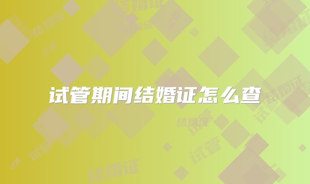 试管期间结婚证怎么查