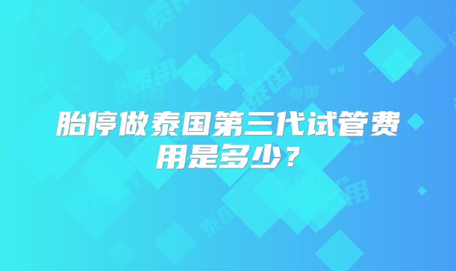胎停做泰国第三代试管费用是多少?