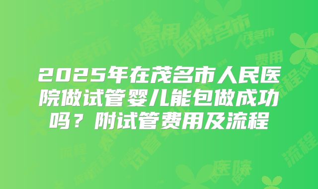 2025年在茂名市人民医院做试管婴儿能包做成功吗？附试管费用及流程