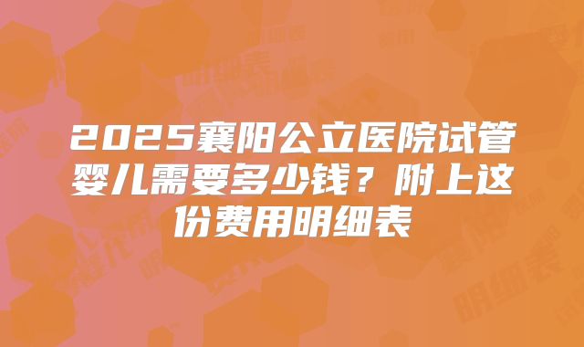2025襄阳公立医院试管婴儿需要多少钱？附上这份费用明细表