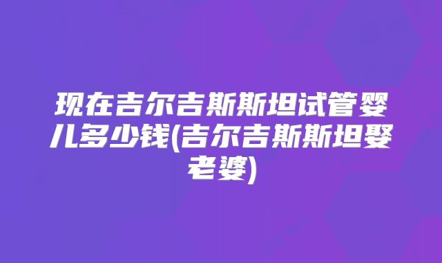 现在吉尔吉斯斯坦试管婴儿多少钱(吉尔吉斯斯坦娶老婆)