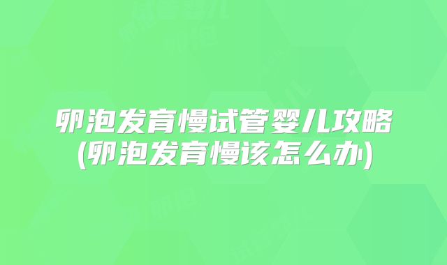 卵泡发育慢试管婴儿攻略(卵泡发育慢该怎么办)