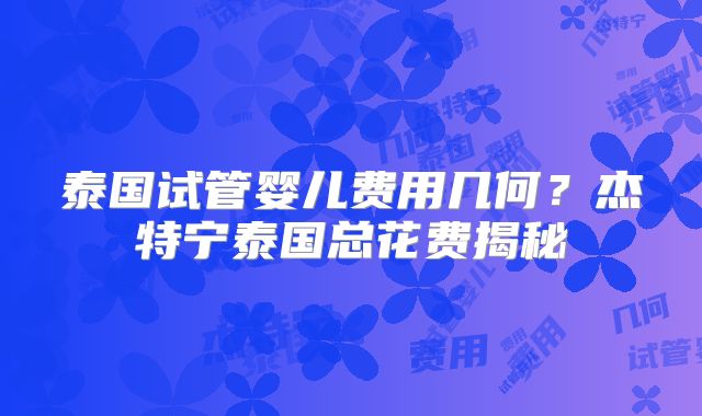 泰国试管婴儿费用几何？杰特宁泰国总花费揭秘