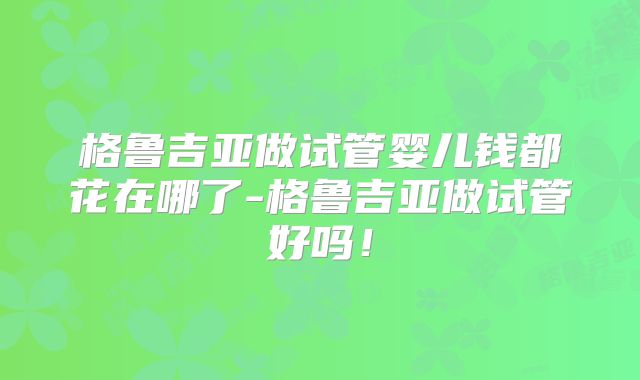 格鲁吉亚做试管婴儿钱都花在哪了-格鲁吉亚做试管好吗!