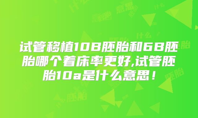 试管移植10B胚胎和6B胚胎哪个着床率更好,试管胚胎10a是什么意思!