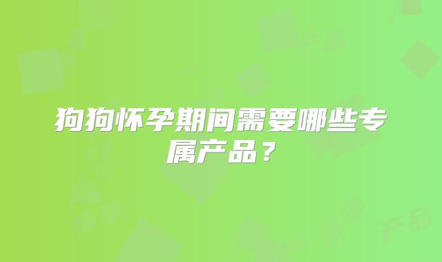 狗狗怀孕期间需要哪些专属产品？