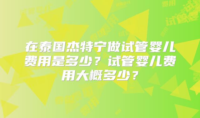 在泰国杰特宁做试管婴儿费用是多少?试管婴儿费用大概多少?