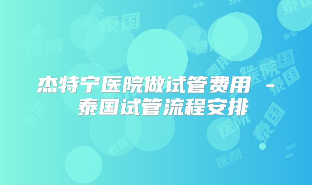 杰特宁医院做试管费用 - 泰国试管流程安排